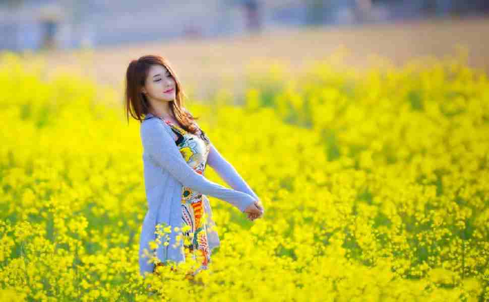 海外站群服务器