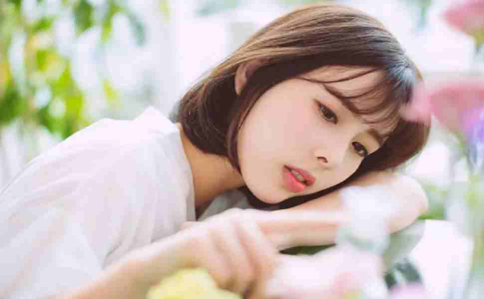 新闻站群程序下载