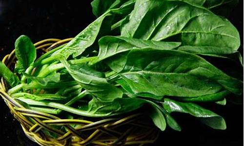 菠菜信息大全(最全菠菜网大全)