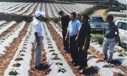 专业菠菜导航官网(菠菜网地址) (2)