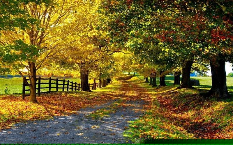 菠菜公司网站:菠菜交流平台(菠菜信息大全)