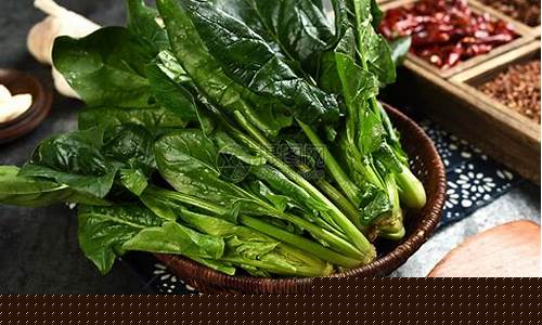 菠菜大全(菠菜大全大图)