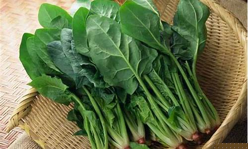 菠菜联盟论坛：线上菠菜